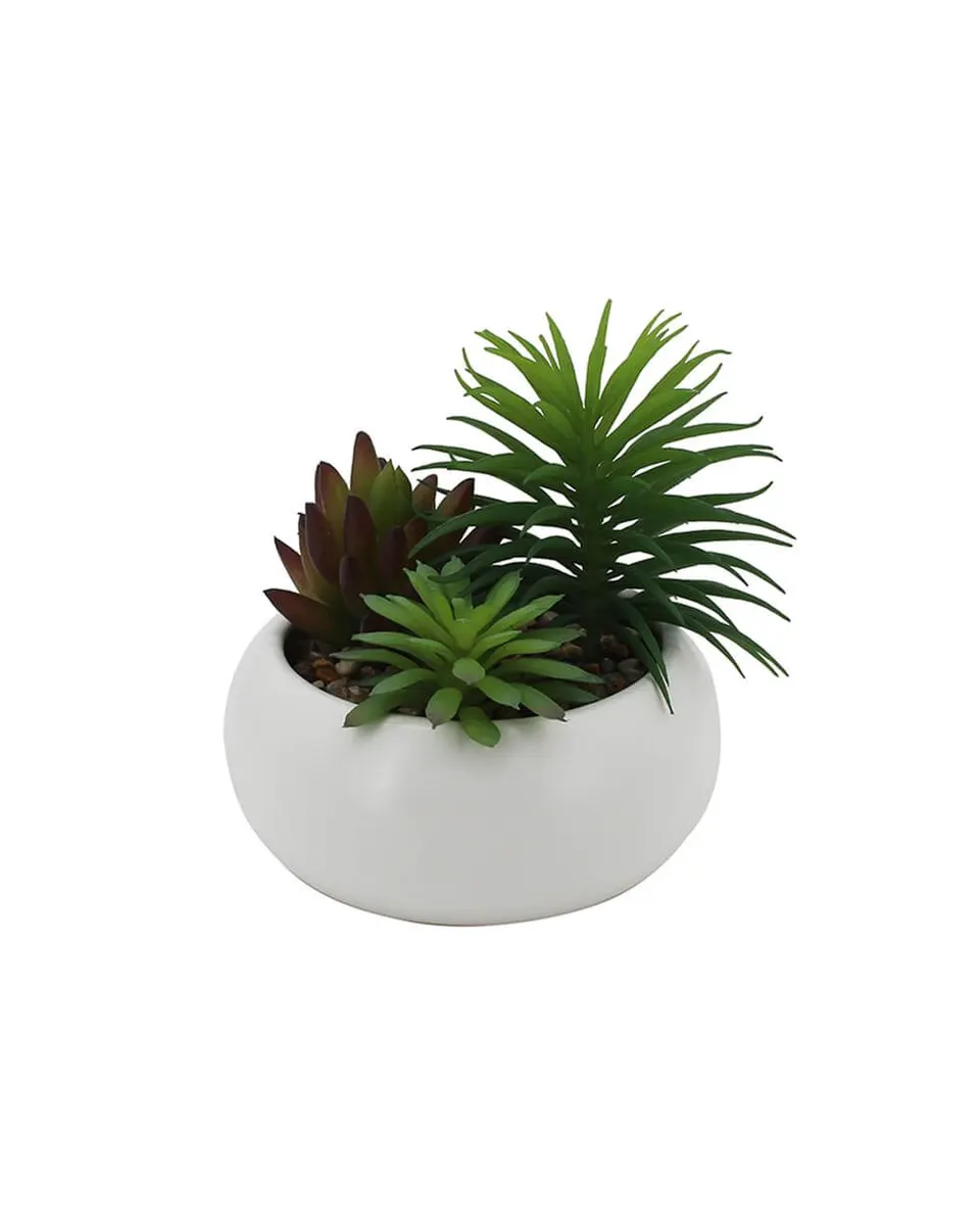 Artificial Succulent Arrangement