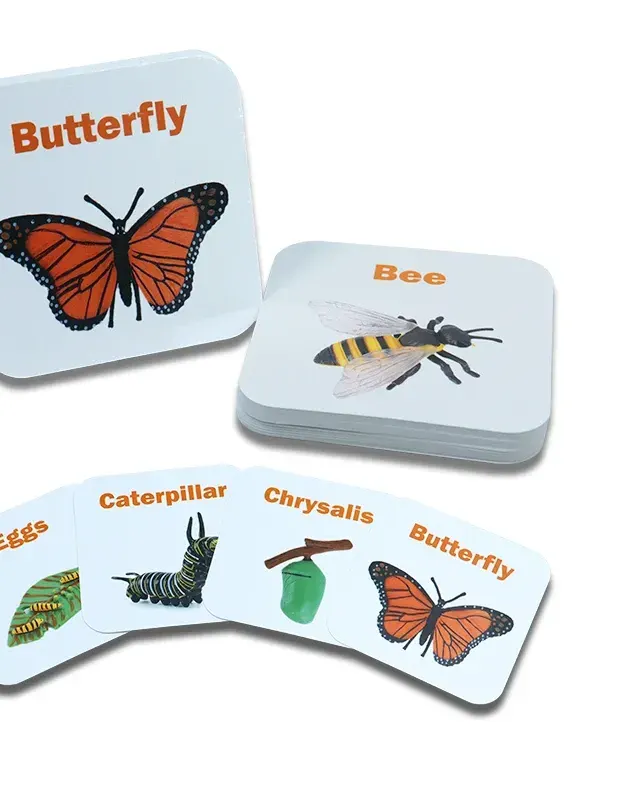 Animal Flash Cards For Kids