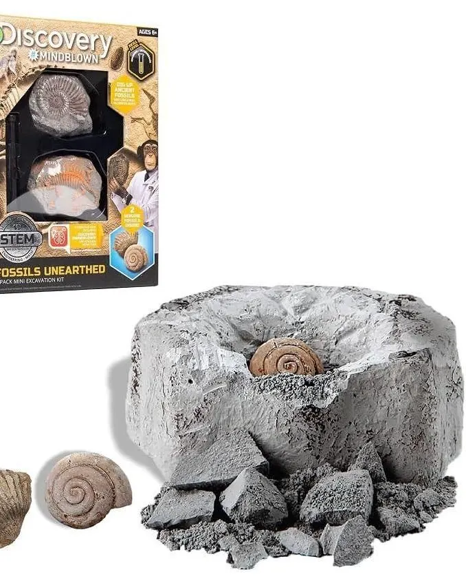 Discovery Toy Excavation Kit Mini Fossil 2 Pieces Grey Age- 6 Years & Above