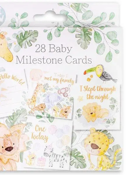 Hugs & Kisses Baby Milestone Moment Cards 28 Pack Age- Newborn & Above