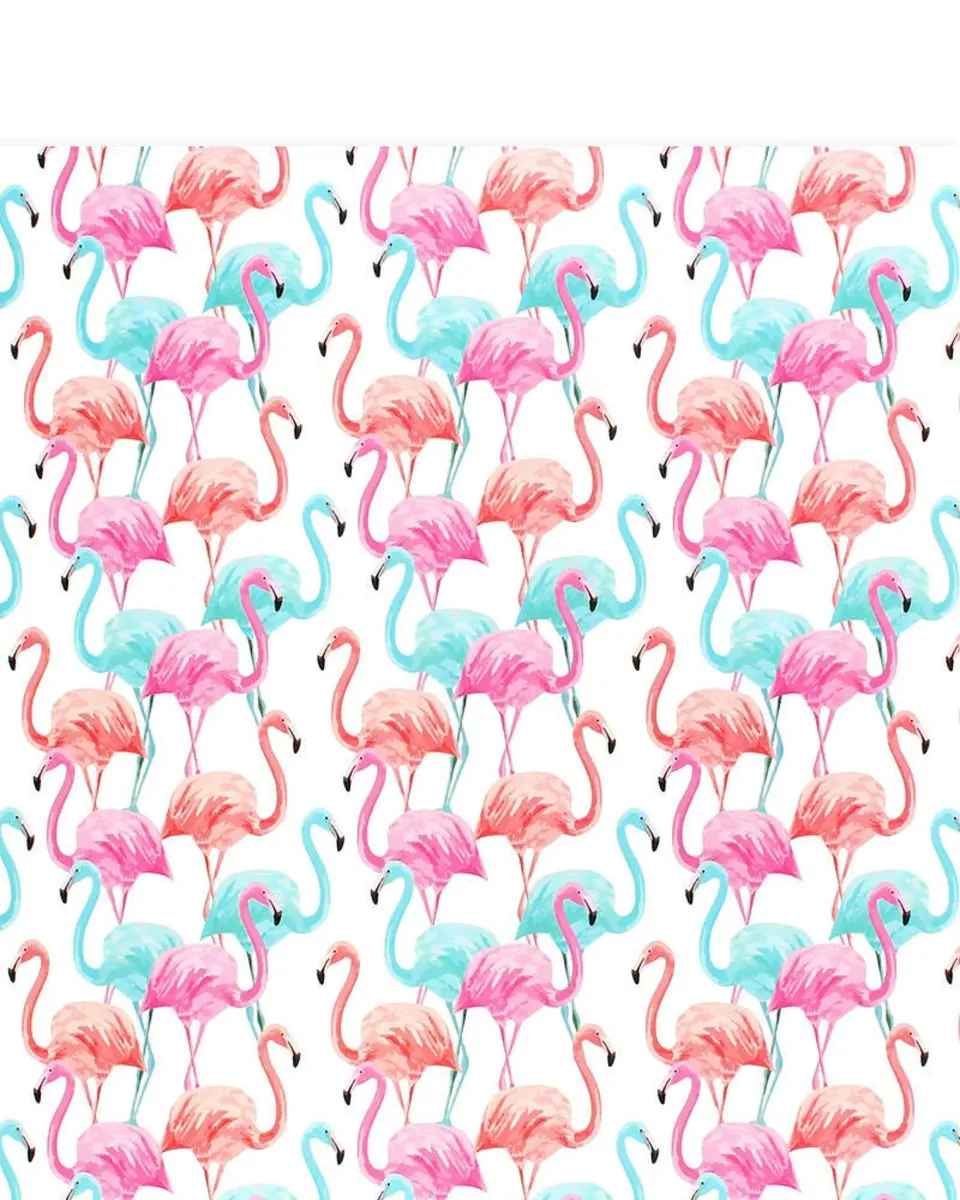Pibi Flamingo Gift Wrapping Paper 50 x 70 cm White/Multicolor