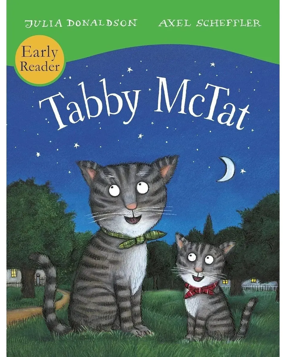Tabby Mctat Early Reader-Julia Donaldso Board Book Age-3 Years & Above