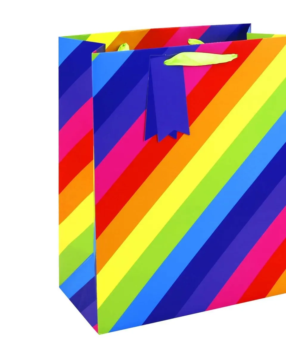 Eurowrap Rainbow Stripe Large Gift Bag