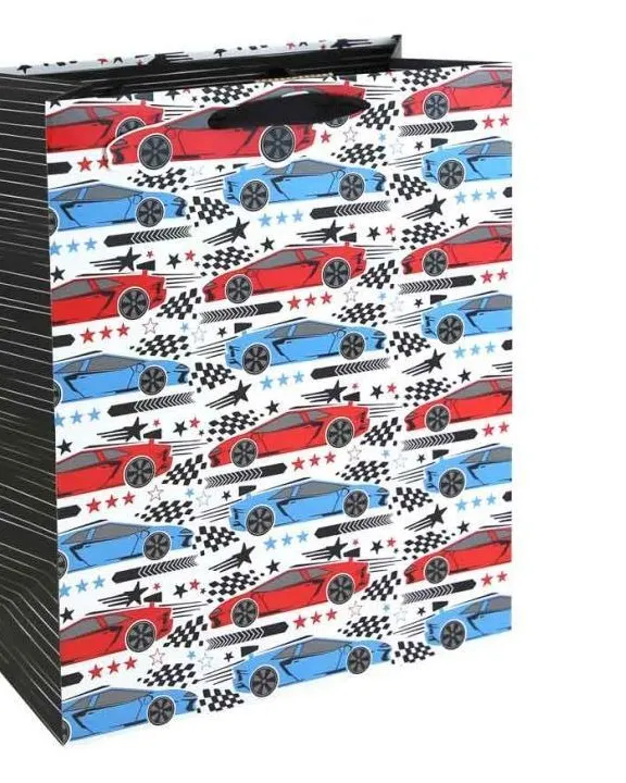 Eurowrap Racecar Large Gift Bag