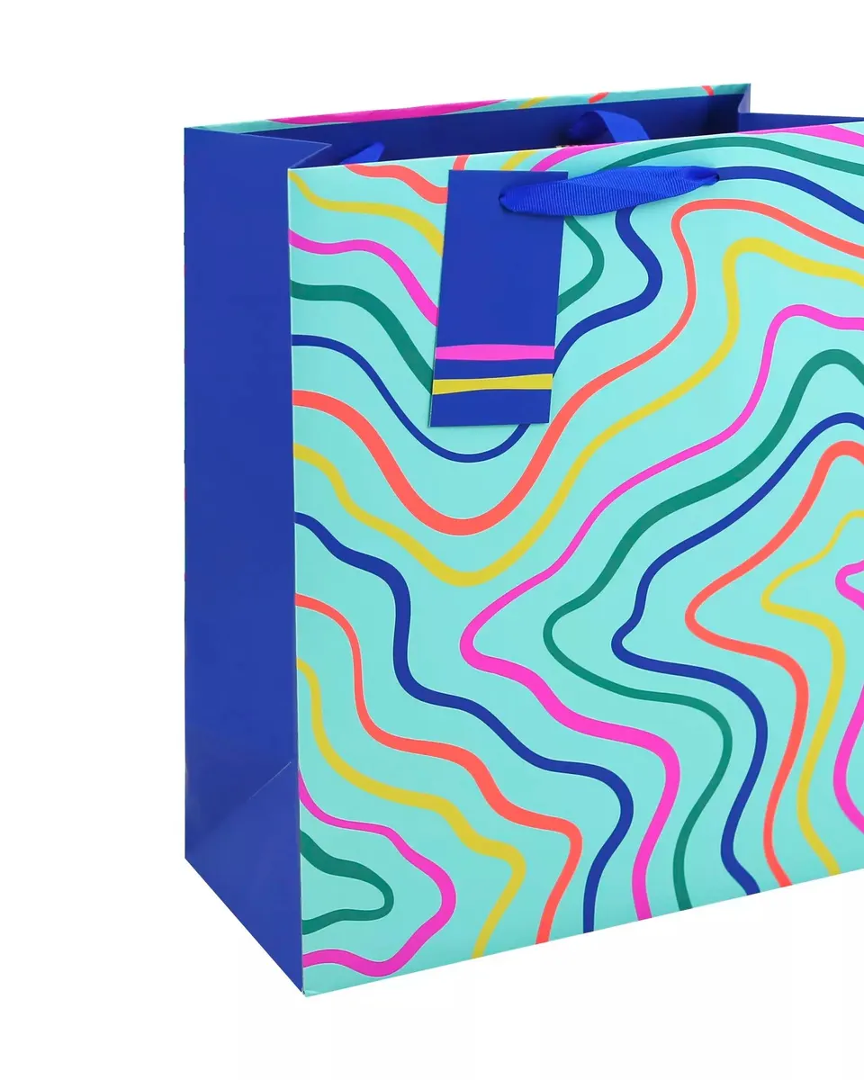 Eurowrap 6 Pack Gift Bag Neon Wave Large
